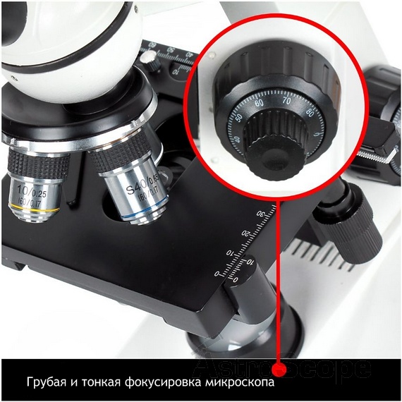 Микроскоп Delta Optical BioStage II - фото 9