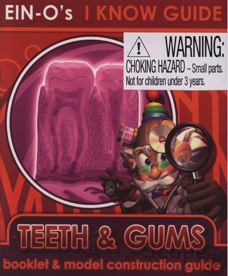 Научный набор Ein-O Science Teeth & Gums «Профессор Эйн. Зубы и Десны» - фото 7