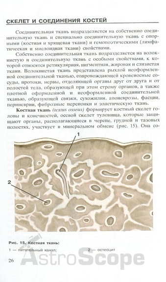 Книга "Атлас анатомии человека", Е.Красичкова - Фото 4